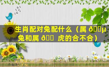 生肖配对兔配什么（属 🌵 兔和属 🐠 虎的合不合）